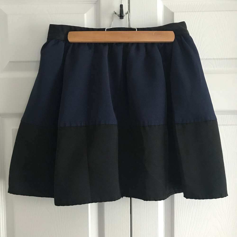 Express Dressy Mini Skirt